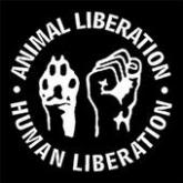 human_free.jpg