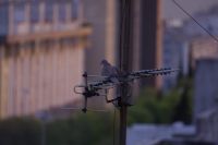 Read more: ChemTrail Photos - Day 13 - 15.04.2010 - Nova oprema