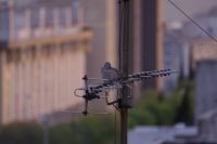 Read more: ChemTrail Photos - Day 13 - 15.04.2010 - Nova oprema