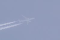 Read more: ChemTrail Photos - Day 16 - 22.04.2010 - Orbovi, križevi, sokoli, egipatski prašinari