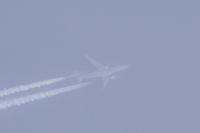 Read more: ChemTrail Photos - Day 16 - 22.04.2010 - Orbovi, križevi, sokoli, egipatski prašinari