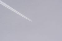 Read more: ChemTrail Photos - Day 16 - 22.04.2010 - Orbovi, križevi, sokoli, egipatski prašinari