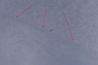 Read more: ChemTrail Photos - Day 16 - 22.04.2010 - Orbovi, križevi, sokoli, egipatski prašinari