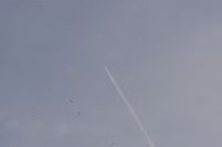 Read more: ChemTrail Photos - Day 16 - 22.04.2010 - Orbovi, križevi, sokoli, egipatski prašinari