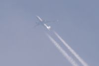 Read more: ChemTrail Photos - Day 16 - 22.04.2010 - Orbovi, križevi, sokoli, egipatski prašinari