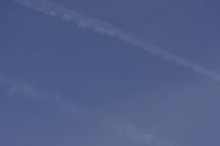 Read more: ChemTrail Photos - Day 16 - 22.04.2010 - Orbovi, križevi, sokoli, egipatski prašinari