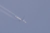 Read more: ChemTrail Photos - Day 16 - 22.04.2010 - Orbovi, križevi, sokoli, egipatski prašinari