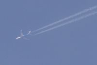 Read more: ChemTrail Photos - Day 16 - 22.04.2010 - Orbovi, križevi, sokoli, egipatski prašinari