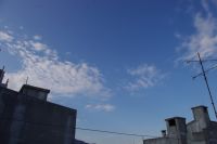 Read more: ChemTrail Photos - Day 26 - 13.05.2010 - Čudan dan