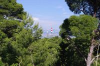 Read more: ChemTrail Photos - Day 35 - 08.06.2010 - Biološki napad
