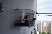 Read more: ChemTrail Photos - Day 37 - 24.06.2010 - Rekordan dan