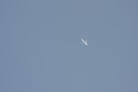 Read more: ChemTrail Photos - Day 41 - 09.07.2010 - Gusti promet