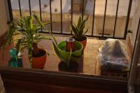 Read more: ChemTrail Photos - Day 67 - 16.10.2011 -  Kako sam ih otjerao