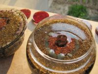 Read more: Day 12 - 27.09.2011 - Šečer + Epoksid