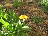 Read more: Day 18 - 17.10.2011 -  Četa TowerBustera