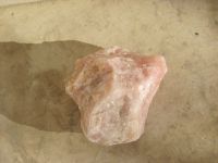 Read more: Day 18 - 17.10.2011 -  Četa TowerBustera