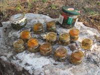 Read more: Day 22 - 30.10.2011 -  Giftanje 5: šečerom po Marjanu