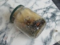 Read more: Day 23 - 07.11.2011 -  Novi TowerBusteri