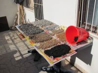 Read more: Day 24 - 21.11.2011 -  Medaljoni i šečeraši