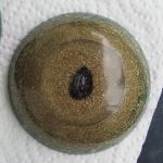 Read more: Day 25 - 25.11.2011 -  Medaljoni i tehnika GLJIVE