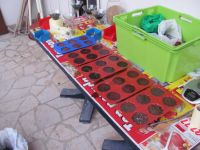 Read more: Day 26 - 27.11.2011 -  Dan za pamćenje