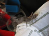 Read more: Day 26 - 27.11.2011 -  Dan za pamćenje