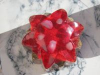 Read more: Day 26 - 27.11.2011 -  Dan za pamćenje