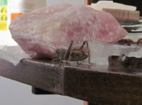 Read more: Day 26 - 27.11.2011 -  Dan za pamćenje