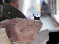 Read more: Day 26 - 27.11.2011 -  Dan za pamćenje