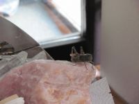 Read more: Day 26 - 27.11.2011 -  Dan za pamćenje