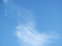 Read more: Day 26 - 27.11.2011 -  Dan za pamćenje