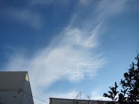 Read more: Day 26 - 27.11.2011 -  Dan za pamćenje