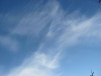 Read more: Day 26 - 27.11.2011 -  Dan za pamćenje