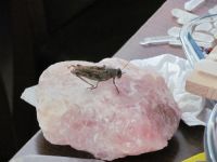 Read more: Day 26 - 27.11.2011 -  Dan za pamćenje