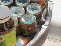 Read more: Day 27 - 28.11.2011 -  Giftanje 6: Operacija ZOO