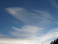 Read more: Day 27 - 28.11.2011 -  Giftanje 6: Operacija ZOO