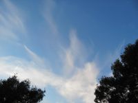 Read more: Day 27 - 28.11.2011 -  Giftanje 6: Operacija ZOO