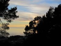 Read more: Day 27 - 28.11.2011 -  Giftanje 6: Operacija ZOO