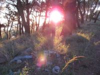 Read more: Day 27 - 28.11.2011 -  Giftanje 6: Operacija ZOO