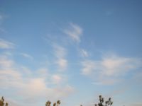 Read more: Day 27 - 28.11.2011 -  Giftanje 6: Operacija ZOO