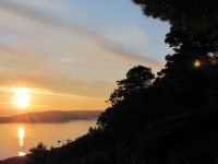 Read more: Day 27 - 28.11.2011 -  Giftanje 6: Operacija ZOO