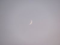 Read more: Day 27 - 28.11.2011 -  Giftanje 6: Operacija ZOO