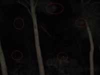 Read more: Day 27 - 28.11.2011 -  Giftanje 6: Operacija ZOO