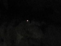 Read more: Day 27 - 28.11.2011 -  Giftanje 6: Operacija ZOO