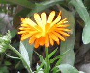 Read more: Day 28 - 03.12.2012 -  Mesing narukvica