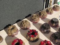 Read more: Day 29 - 13.12.2011 -  Opet crveno crni 