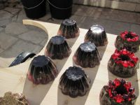 Read more: Day 29 - 13.12.2011 -  Opet crveno crni 