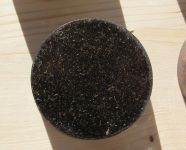 Read more: Day 29 - 13.12.2011 -  Opet crveno crni 