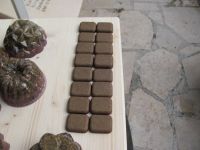 Read more: Day 29 - 13.12.2011 -  Opet crveno crni 