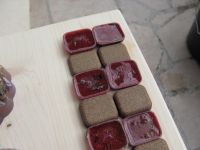 Read more: Day 29 - 13.12.2011 -  Opet crveno crni 